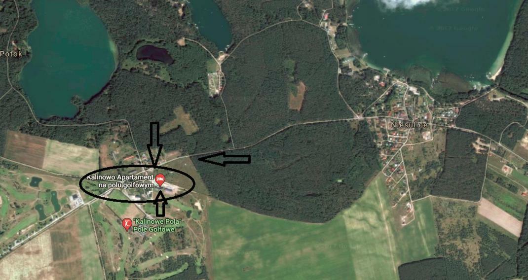 Apartament Kalinowo Golf - Salon Z Opcja Spania, Kuchnia I 2 Sypialnie, 1-6 Osob 尼苏利采 外观 照片